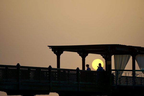 Comment planifier une visite des jardins traditionnels japonais à Kyoto?