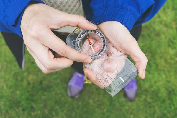 Comment organiser une visite des plantations de thé à Darjeeling, Inde : circuits et dégustations recommandées ?
